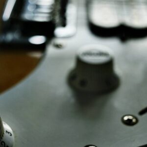 Paquete de Synths y Plugins Virtuales para Músicos Profesionales de Zelcovia